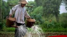 Pemerintah Bangun 25 Ribu Gudang Darurat Serapan Beras Bulog Tembus Rekor Tertinggi | PUNGGAWA NEWS