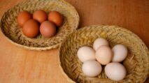 Jangan Cuci Telur Sebelum Disimpan, Ini Alasannya!
