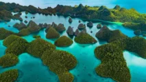 Keindahan-Raja-Ampat-di-Ujung-Tanduk-768x432