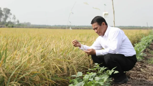 Mentan Ungkap Lima Jenis Pupuk Palsu Berpotensi Rugikan Petani Rp32 Triliun | PUNGGAWA NEWS