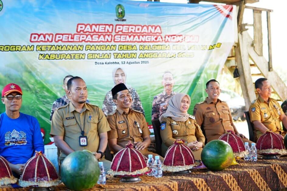 Bupati Sinjai Lepas Ekspor Semangka ke NTT dan NTB 1 PANEN PERDANA SEMANGKA | PUNGGAWA NEWS