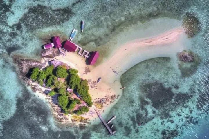 Dari Pulau Sembilan Sinjai, Ridha Alamsyah Dorong Transplantasi Karang untuk Menopang Ekonomi Biru 5 453280306 | PUNGGAWA NEWS