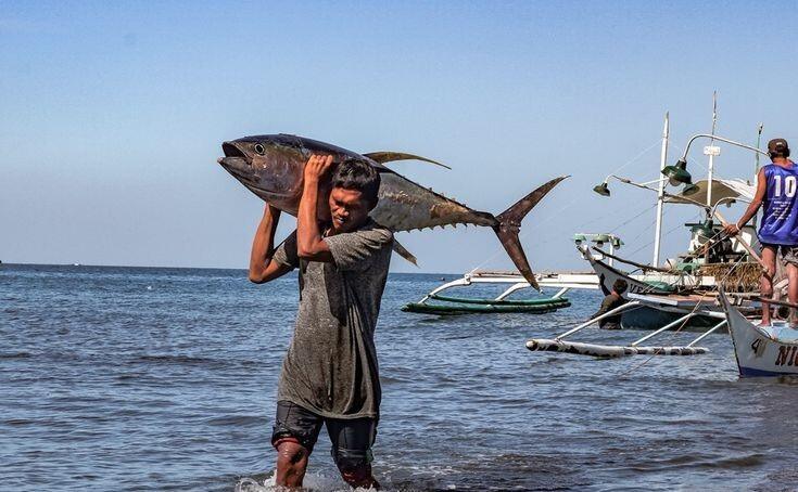 Dr. Ridha Alamsyah: Ekonomi Biru, Mesin Pertumbuhan Baru Indonesia Menuju Poros Maritim Dunia 4 Filipino small scale tuna fishers eligible for prestigious international ecolabel | PUNGGAWA NEWS