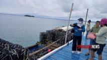 500 Rumah Ikan Dukung Kelestarian Laut dan Kesejahteraan Nelayan Pulau Sembilan 3 PUNGGAWANEWSIMAGE 3 | PUNGGAWA NEWS