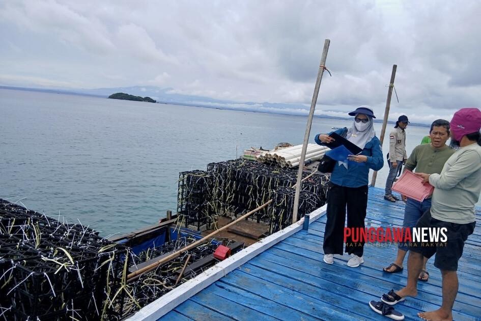 500 Rumah Ikan Dukung Kelestarian Laut dan Kesejahteraan Nelayan Pulau Sembilan 1 PUNGGAWANEWSIMAGE 3 | PUNGGAWA NEWS