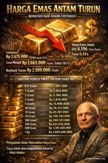 INFO GRAFIS PUNGGAWANEWS | PUNGGAWA NEWS