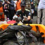 Jakarta Kerahkan 640 Personel Tangkap 68 Ribu Ikan Sapu Sapu Kubur Higienis untuk Cegah Penyebaran | PUNGGAWA NEWS