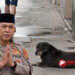 PUNGGAWANEWSIMAGE 20260415 134217 0000 | PUNGGAWA NEWS