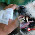 PUNGGAWANEWSIMAGE 20260415 234129 0000 | PUNGGAWA NEWS